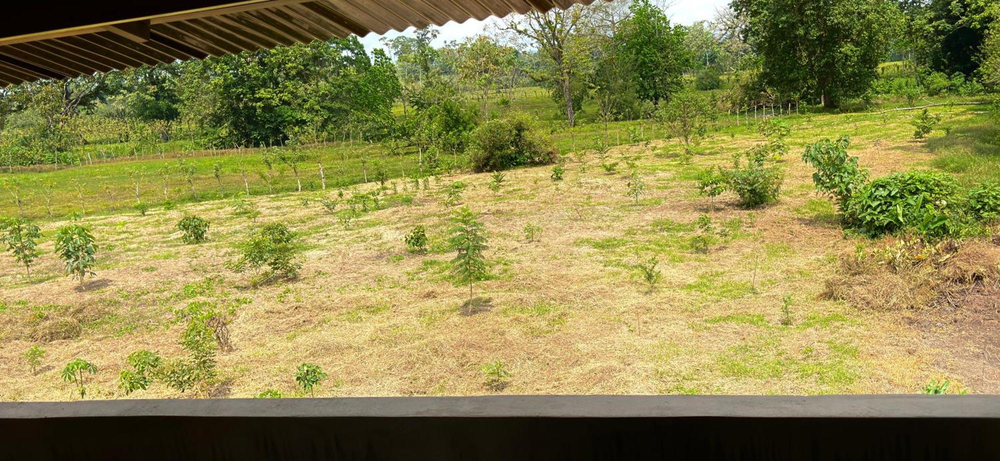 La Fortuna Arenal Monara酒店 外观 照片